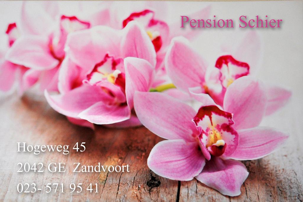 Pension Schier Zandvoort Zewnętrze zdjęcie
