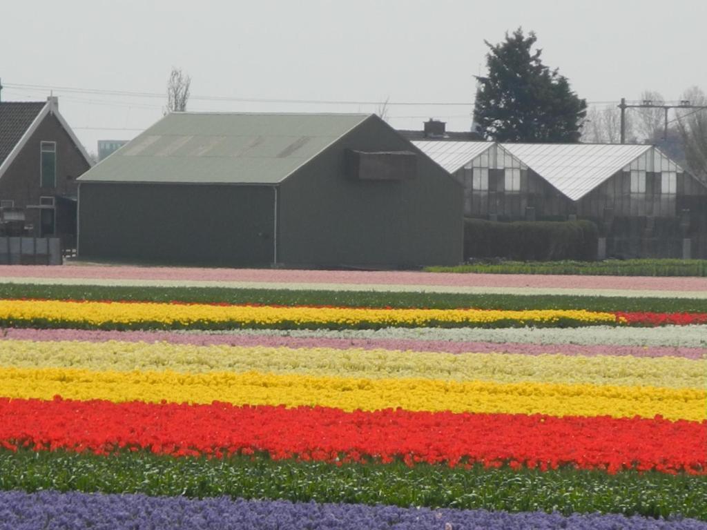 Pension Schier Zandvoort Zewnętrze zdjęcie