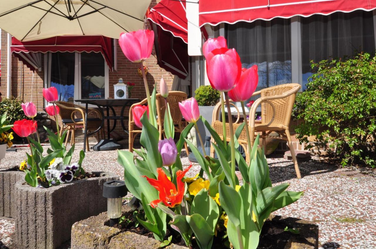Pension Schier Zandvoort Zewnętrze zdjęcie